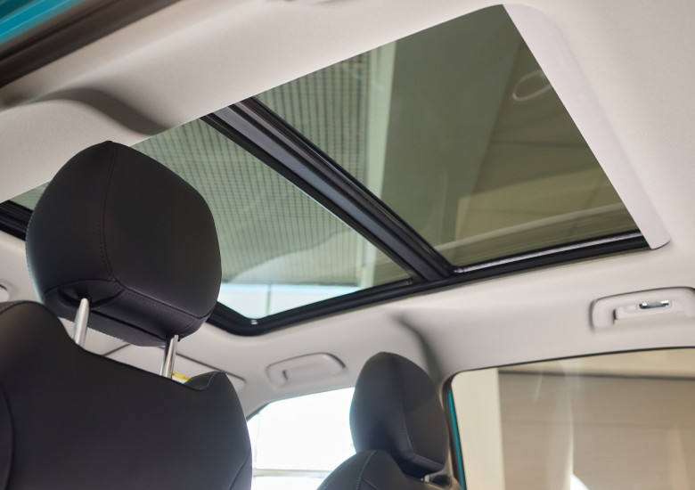 Sunroof Repair